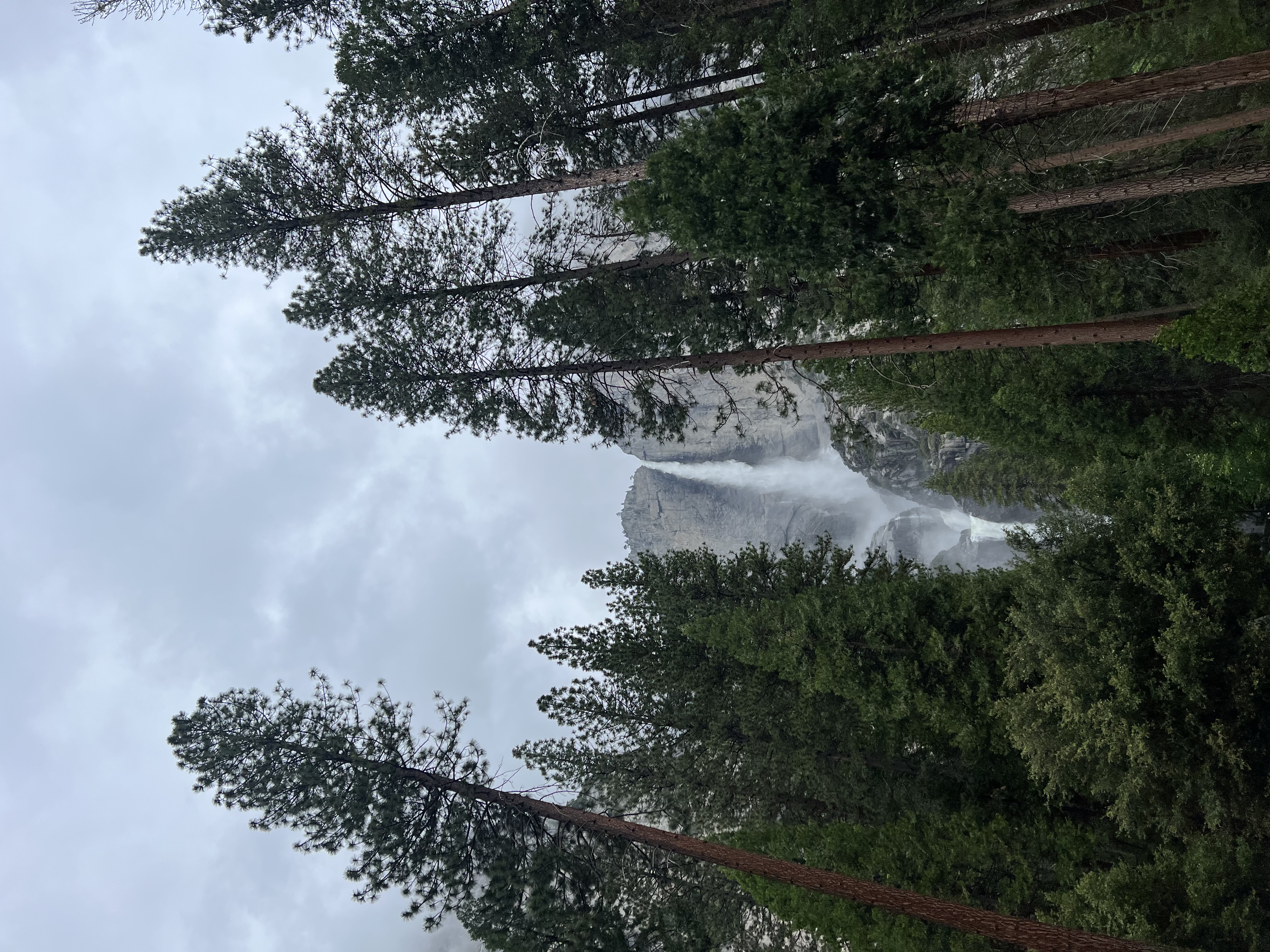 Yosemite National Park